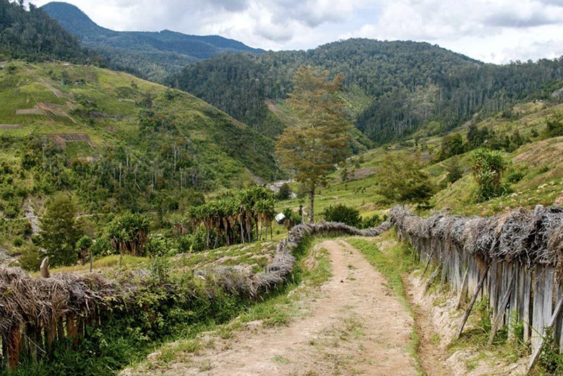 Papua New Guinea — Waghi Valley