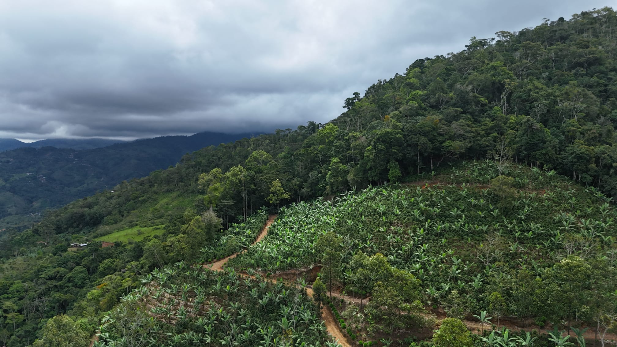 Green hills and valleys with a cloudy sky